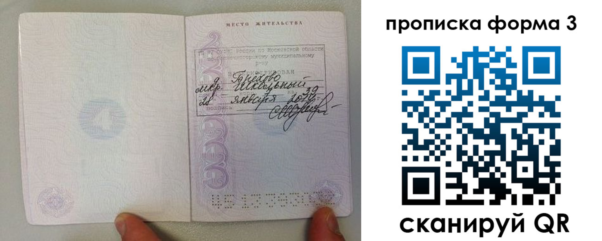 прописка гарантия в Дубне